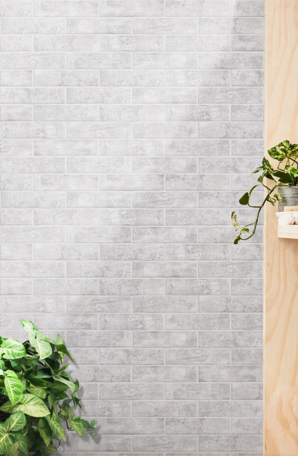 Malaga nacar - Cod. 150137